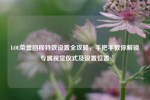 LOL荣誉回程特效设置全攻略,手把手教你解锁专属视觉仪式及设置位置