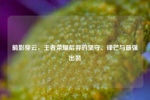 箭影穿云,王者荣耀后羿的坚守、锋芒与最强出装