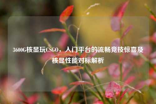 3600G核显玩CSGO,入门平台的流畅竞技惊喜及核显性能对标解析