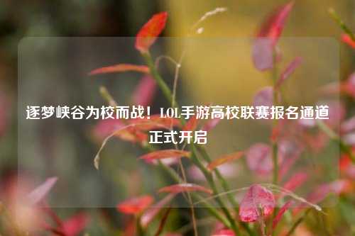 逐梦峡谷为校而战!LOL手游高校联赛报名通道正式开启