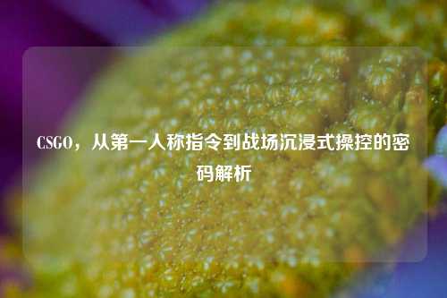 CSGO,从第一人称指令到战场沉浸式操控的密码解析