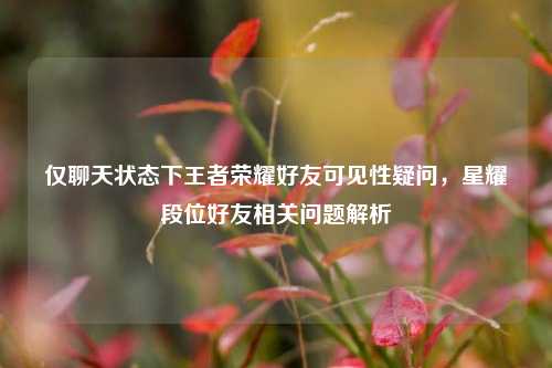 仅聊天状态下王者荣耀好友可见性疑问,星耀段位好友相关问题解析