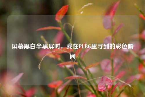 屏幕黑白半黑屏时,我在PUBG里寻到的彩色瞬间