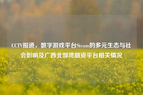 CCTV报道,数字游戏平台Steam的多元生态与社会影响及广西北部湾融资平台相关情况