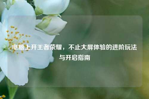 电脑上开王者荣耀,不止大屏体验的进阶玩法与开启指南