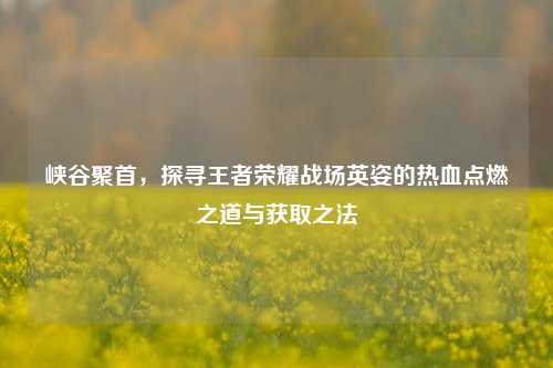 峡谷聚首,探寻王者荣耀战场英姿的热血点燃之道与获取之法