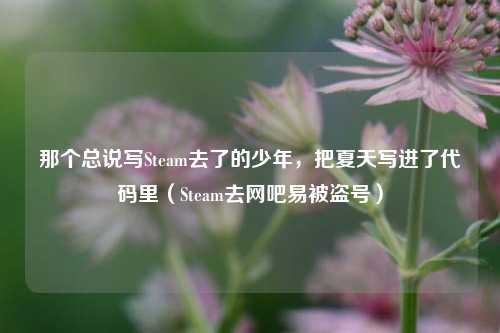 那个总说写Steam去了的少年,把夏天写进了代码里(Steam去网吧易被盗号)