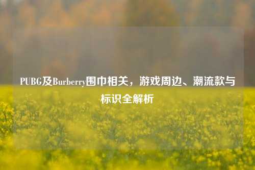 PUBG及Burberry围巾相关,游戏周边、潮流款与标识全解析
