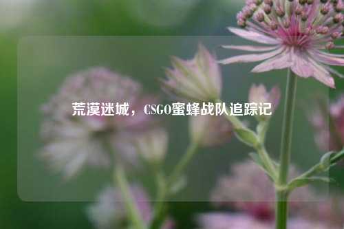 荒漠迷城,CSGO蜜蜂战队追踪记