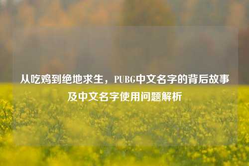 从吃鸡到绝地求生,PUBG中文名字的背后故事及中文名字使用问题解析