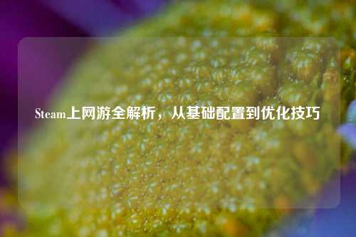 Steam上网游全解析,从基础配置到优化技巧