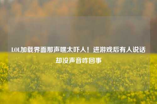 LOL加载界面那声嘿太吓人!进游戏后有人说话却没声音咋回事