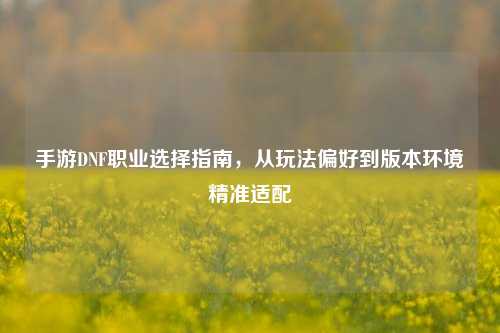 手游DNF职业选择指南,从玩法偏好到版本环境精准适配