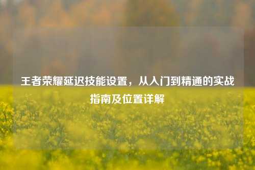 王者荣耀延迟技能设置,从入门到精通的实战指南及位置详解