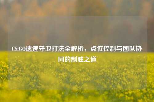 CS:GO遗迹守卫打法全解析,点位控制与团队协同的制胜之道