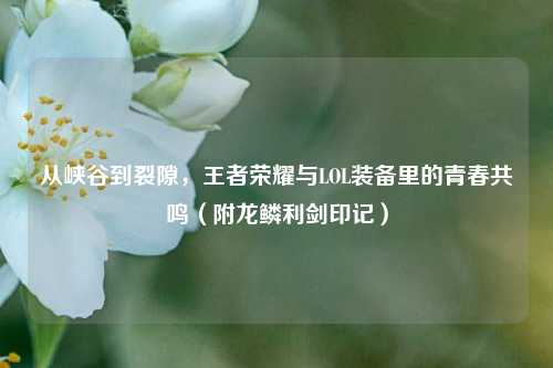 从峡谷到裂隙,王者荣耀与LOL装备里的青春共鸣(附龙鳞利剑印记)