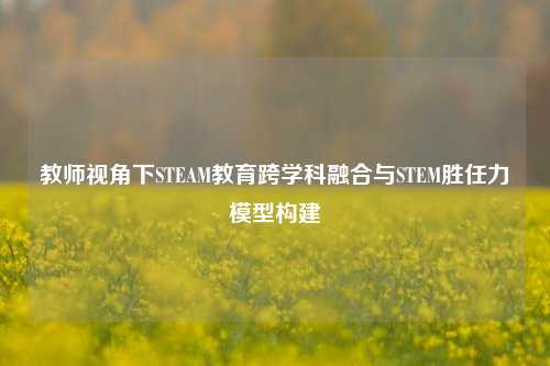 教师视角下STEAM教育跨学科融合与STEM胜任力模型构建