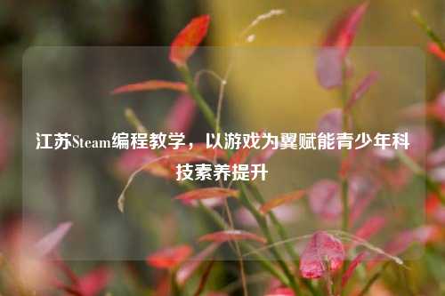 江苏Steam编程教学，以游戏为翼赋能青少年科技素养提升