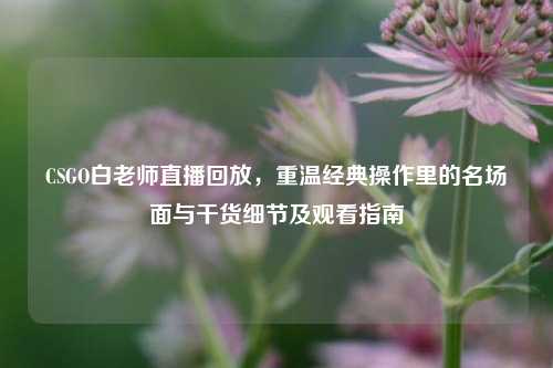 CSGO白老师直播回放，重温经典操作里的名场面与干货细节及观看指南