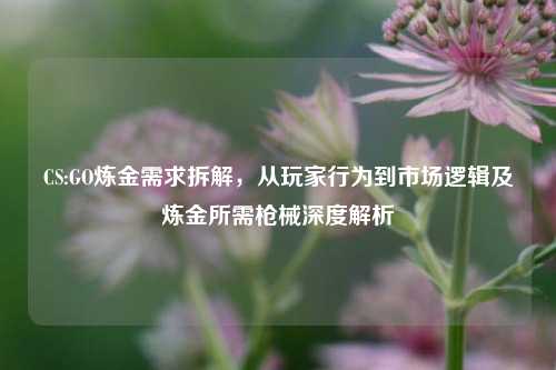 CS:GO炼金需求拆解,从玩家行为到市场逻辑及炼金所需枪械深度解析